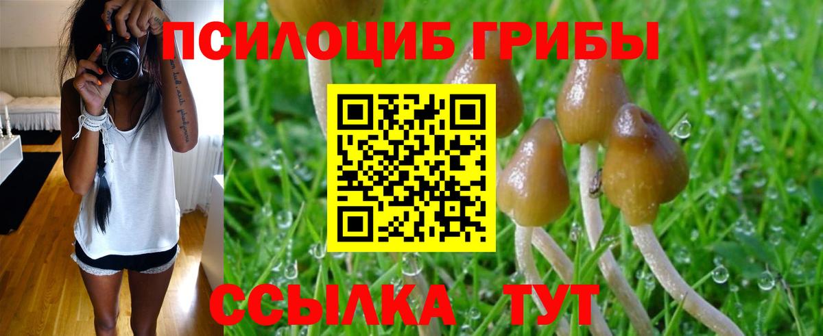Галлюциногенные грибы мицелий Сибай